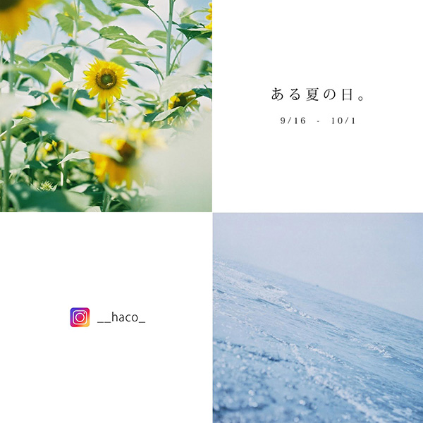 natsunohi